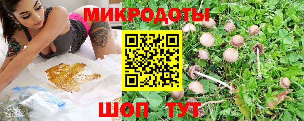 Ставрополь  Псилоцибиновые грибы GOLDEN TEACHER  Галлюциногенные грибы GOLDEN TEACHER  Вход с VPN 